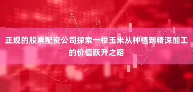 正规的股票配资公司探索一根玉米从种植到精深加工的价值跃升之路