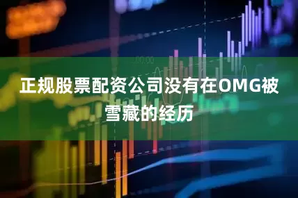 正规股票配资公司没有在OMG被雪藏的经历