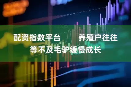 配资指数平台        养殖户往往等不及毛驴缓慢成长