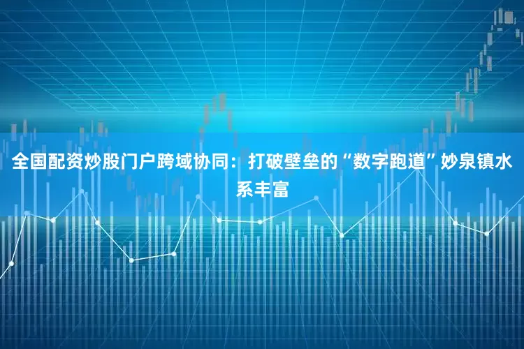全国配资炒股门户跨域协同：打破壁垒的“数字跑道”妙泉镇水系丰富